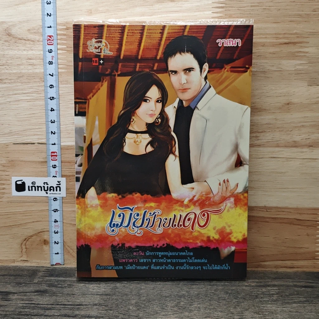 หนังสือ เมียป้ายแดง รูปที่ 1