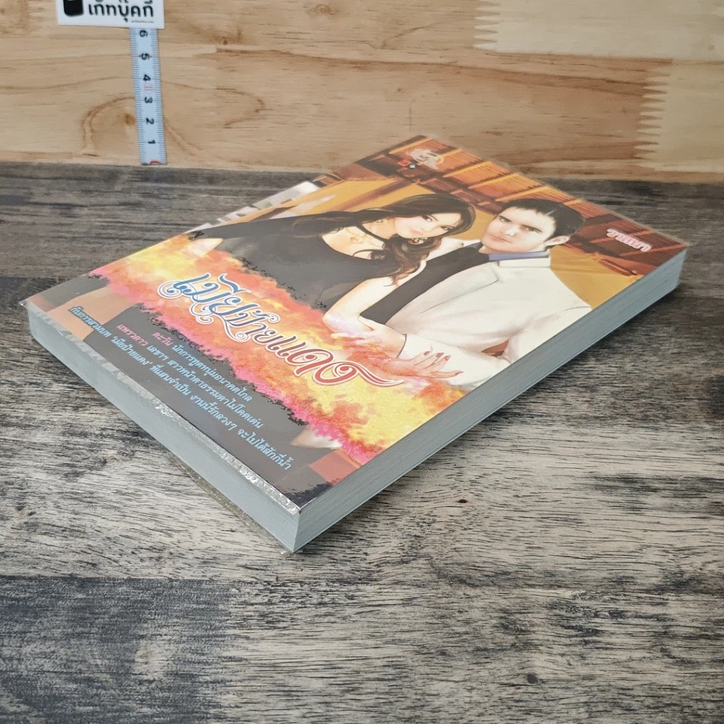 หนังสือ เมียป้ายแดง รูปที่ 3