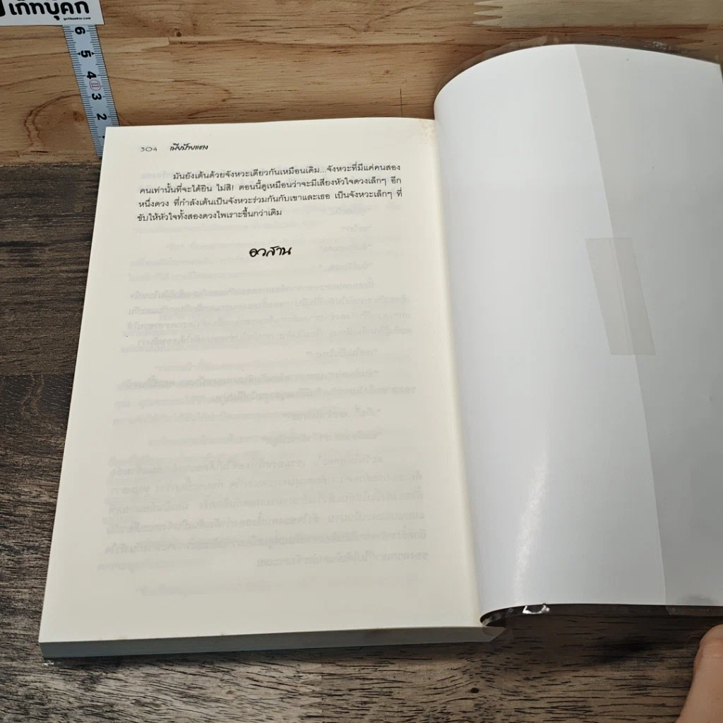 หนังสือ เมียป้ายแดง รูปที่ 8
