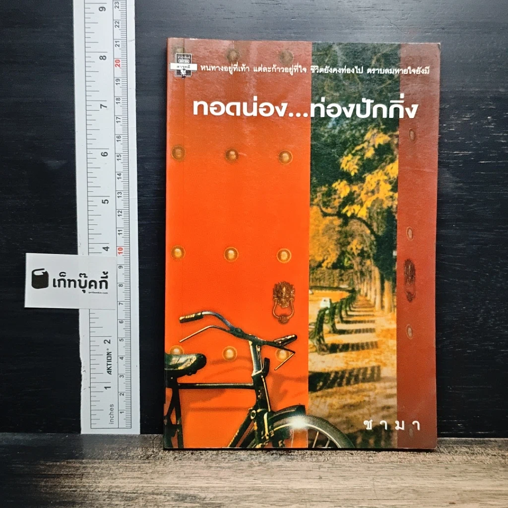ทอดน่อง ท่องปักกิ่ง รูปที่ 1