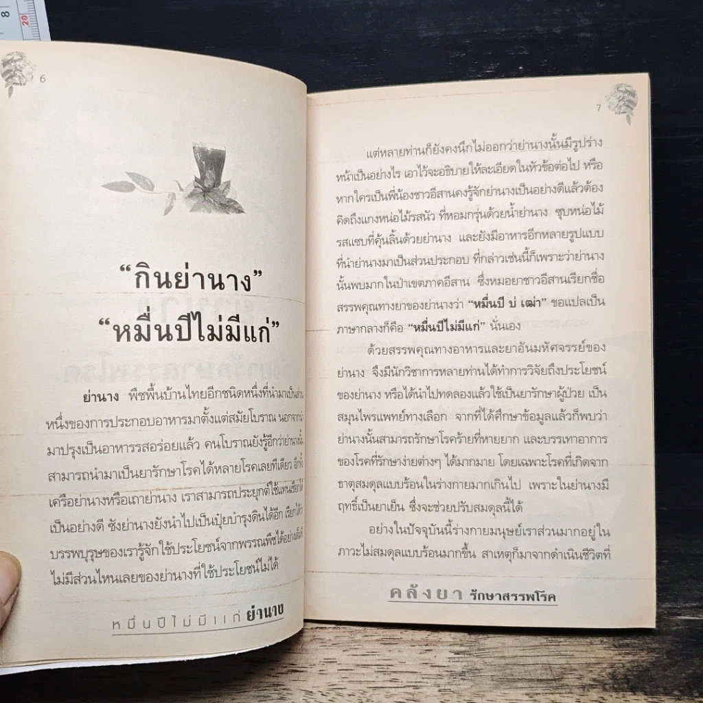 หมื่นปีไม่มีแก่ ย่านาง คลังยักษ์รักษาสรรพโรค รูปที่ 8