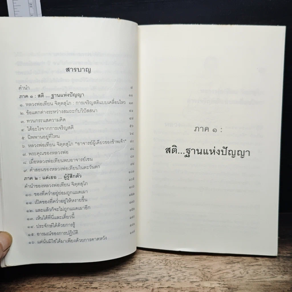 การเจริญสติแบบเคลื่อนไหว ตามแนวหลวงพ่อเทียน จิตฺตสุโภ รูปที่ 7