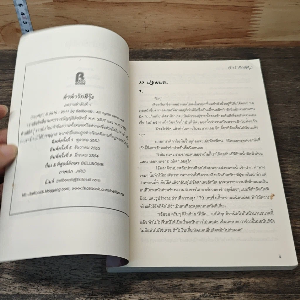 หนังสือ ลำนำรักสีรุ้ง รูปที่ 6