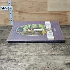 หนังสือ อุบัติเหตุรัก รูปที่ 2