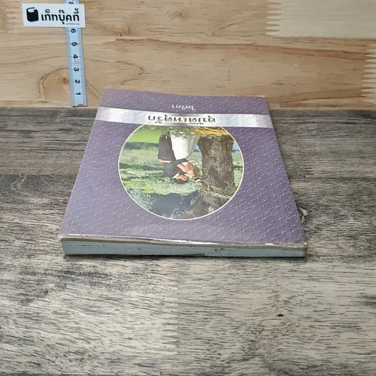 หนังสือ อุบัติเหตุรัก รูปที่ 4