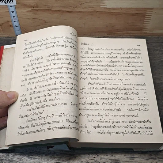 โซไรดา นางพญาทะเลทราย รูปที่ 8