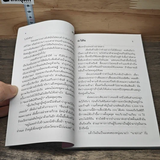 สะใภ้จีน รูปที่ 7
