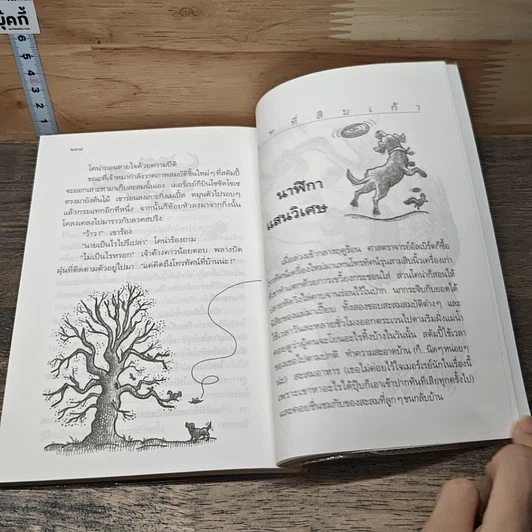 หนังสือ สวนกูสเบอร์รี่ รูปที่ 9