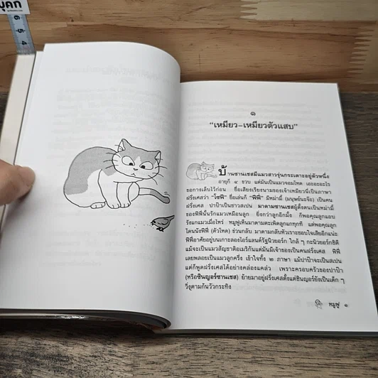 หนังสือ บันทึกของหมู ฟู รูปที่ 7