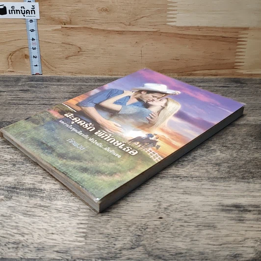 หนังสือ นิยายโรมานซ์ สะดุดรักพิทักษ์เธอ รูปที่ 3