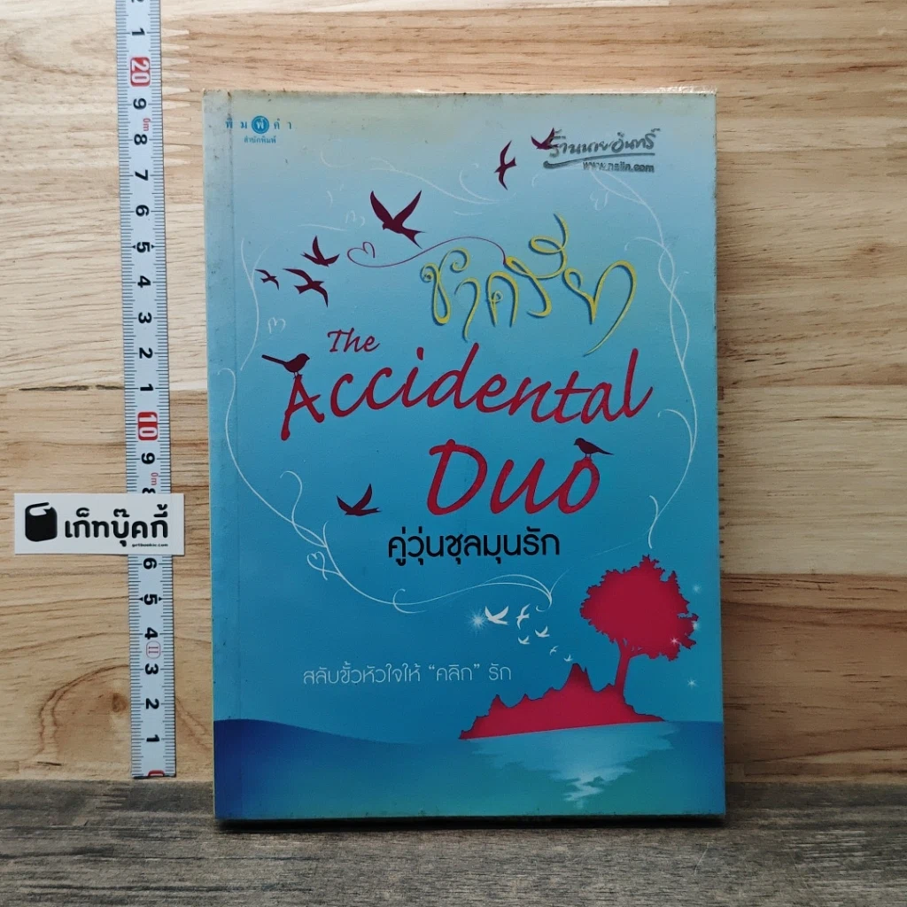 The Accidental Duo คู่วุ่นชุลมุนรัก รูปที่ 1