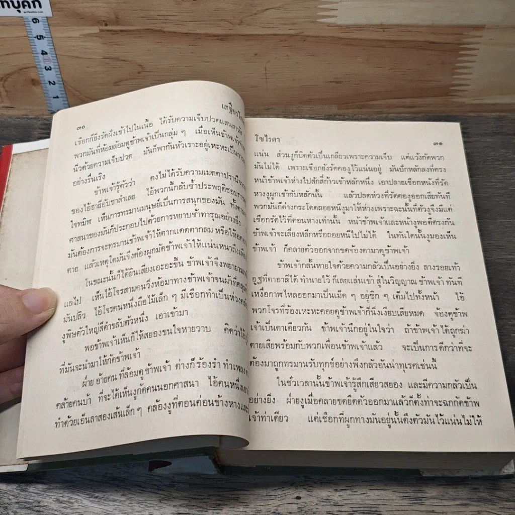 โซไรดา นางพญาทะเลทราย รูปที่ 8