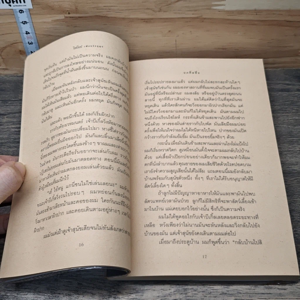 ไชโลห์ เพื่อนรักหูตูบ รูปที่ 7