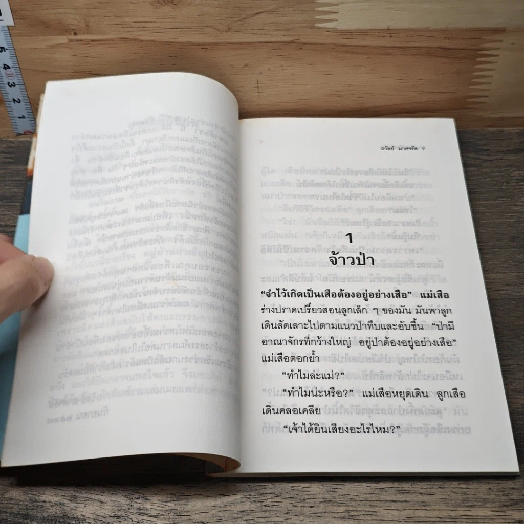 หนังสือ มหาอัครา รูปที่ 8