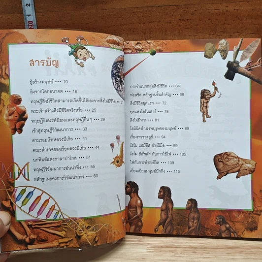 หนังสือ Why? วิวัฒนาการมนุษย์ รูปที่ 7