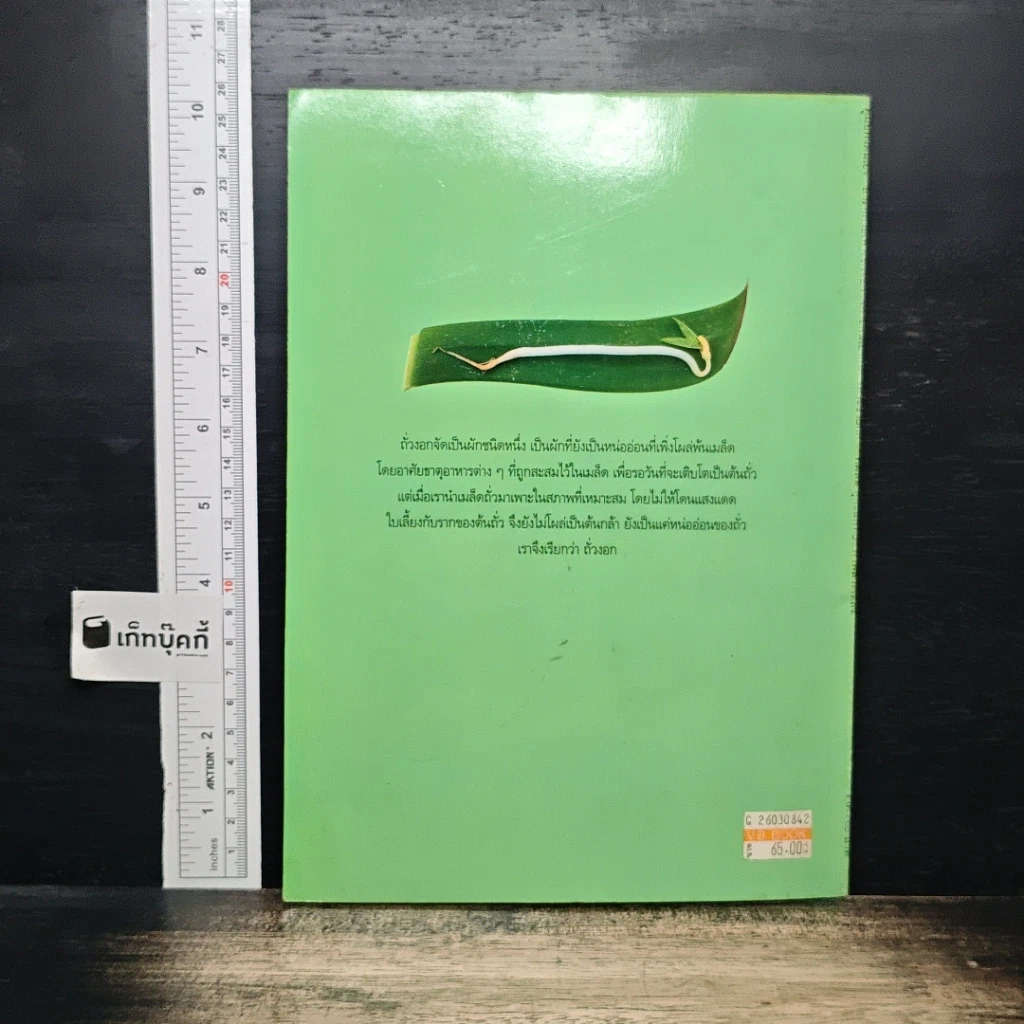หนังสือ สารพัดวิธีเพาะถั่วงอกปลอดสารเคมี เพาะกินเองก็ได้ เพาะขายก็ดี รูปที่ 2