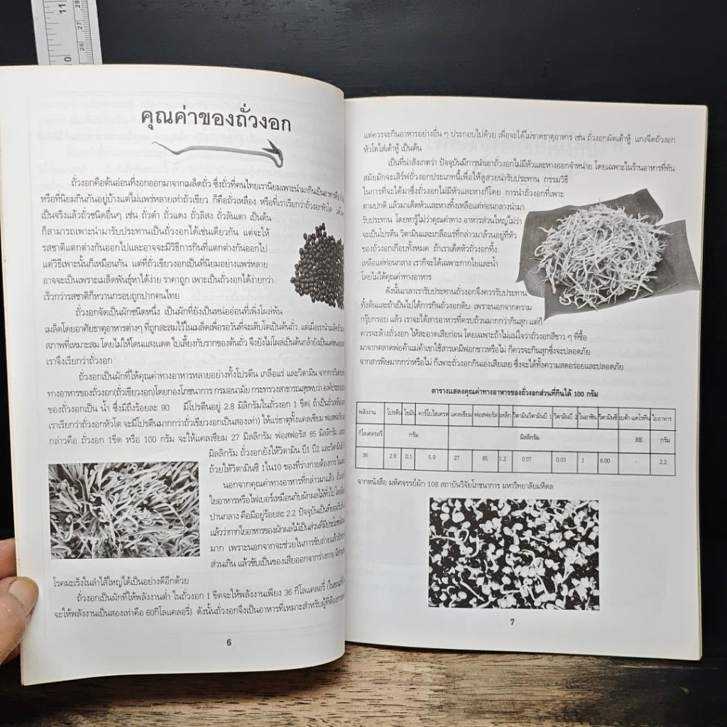หนังสือ สารพัดวิธีเพาะถั่วงอกปลอดสารเคมี เพาะกินเองก็ได้ เพาะขายก็ดี รูปที่ 7