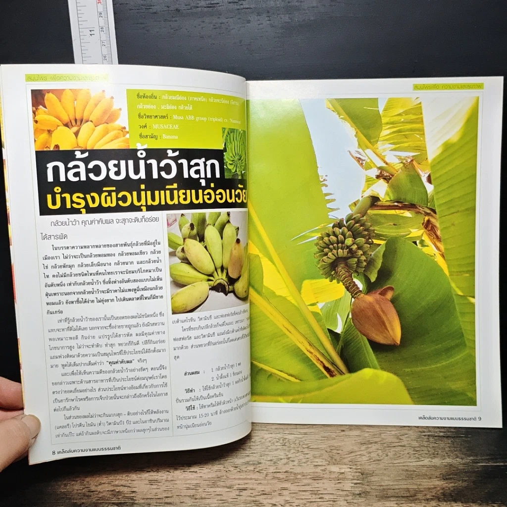 เคล็ดลับผิวสวยด้วยธรรมชาติ ฉบับพิเศษ 4 รูปที่ 8