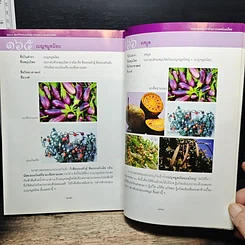 หนังสือ 200 ปี พระเจ้าบรมวงศ์เธอ กรมหลวงวงษาธิราชสนิท : พระกรณียกิจด้านการแพทย์แผนไทย รูปที่ 10