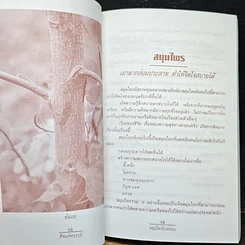 พืชมหัศจรรย์สมุนไพรไกลหมอ รูปที่ 10
