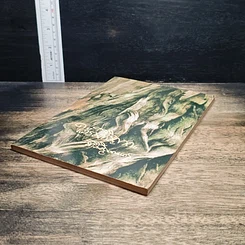 หนังสือ ใต้ร่มโพธิญาณ รูปที่ 4