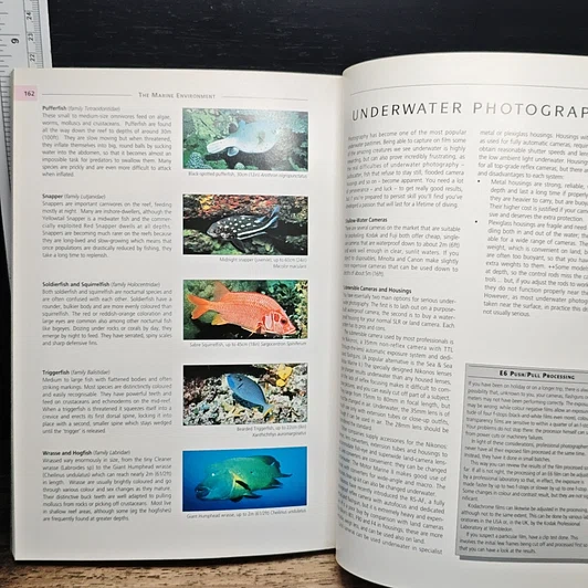 หนังสือ The Dive Sites of Indonesia รูปที่ 11