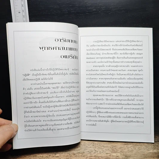 หนังสือ สติด้วยภาษาง่ายๆ รูปที่ 8