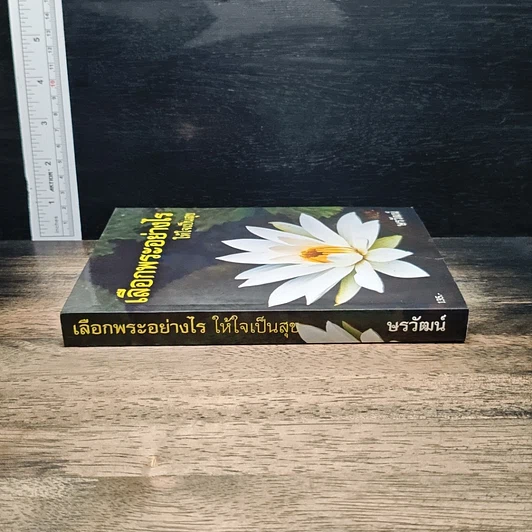 หนังสือ เลือกพระอย่างไรให้ใจเป็นสุข รูปที่ 3
