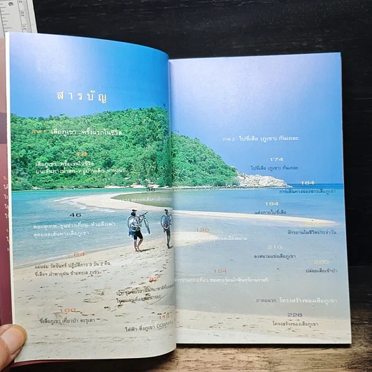 เสือภูเขาแรมทาง รูปที่ 6