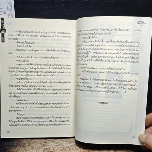นางบำเรอราตรีเดียว รูปที่ 8