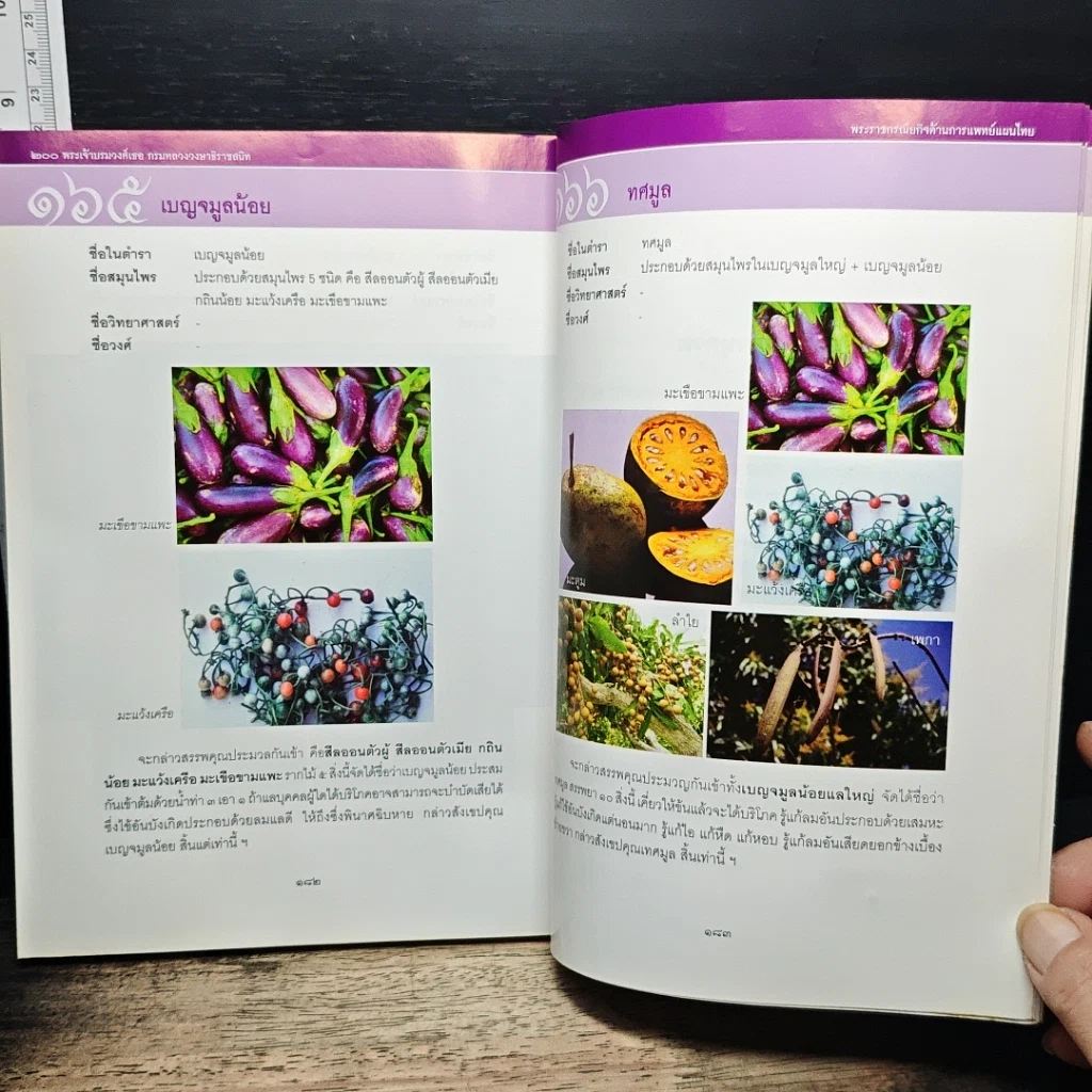 หนังสือ 200 ปี พระเจ้าบรมวงศ์เธอ กรมหลวงวงษาธิราชสนิท : พระกรณียกิจด้านการแพทย์แผนไทย รูปที่ 10