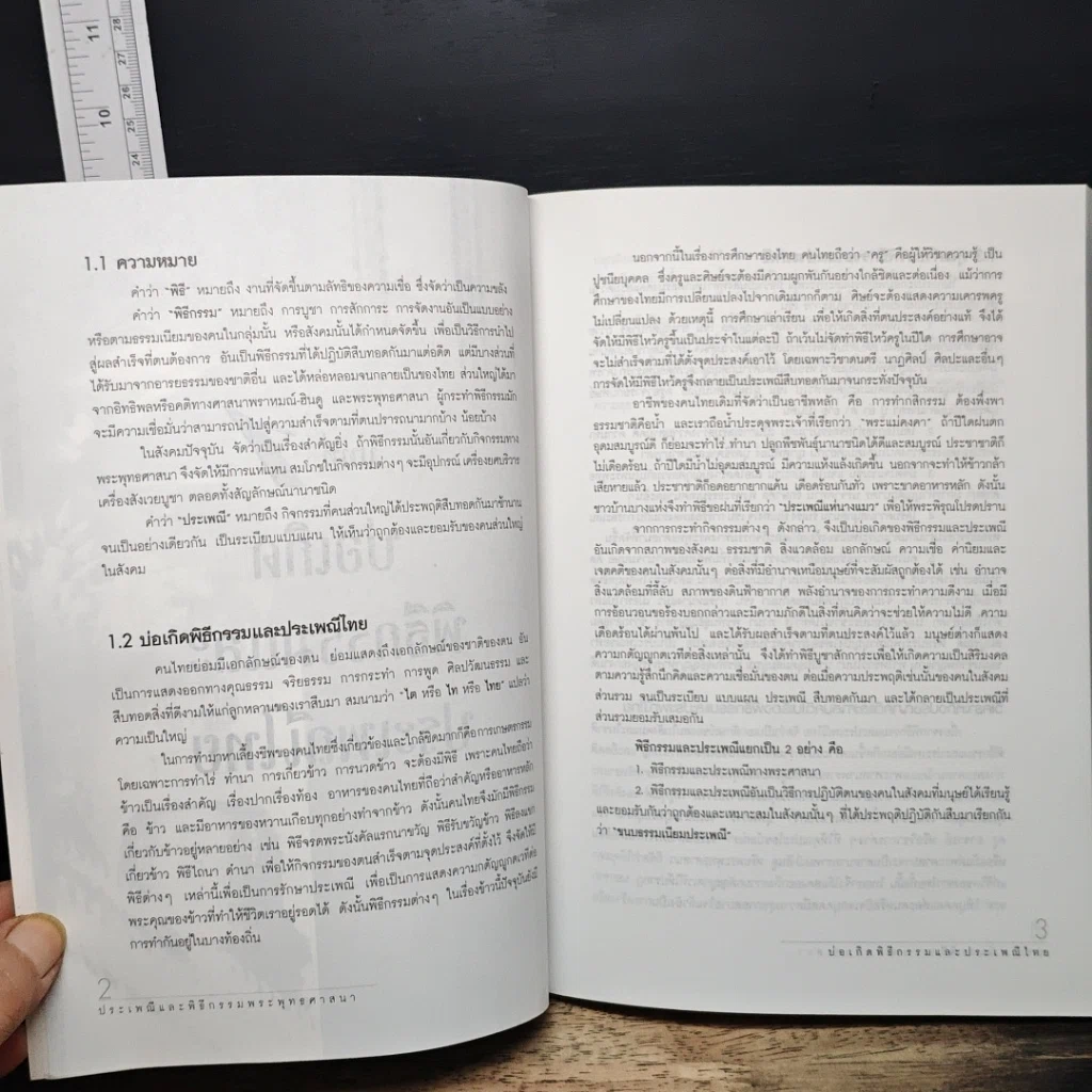 หนังสือ ประเพณีและพิธีกรรมพระพุทธศาสนา รูปที่ 12