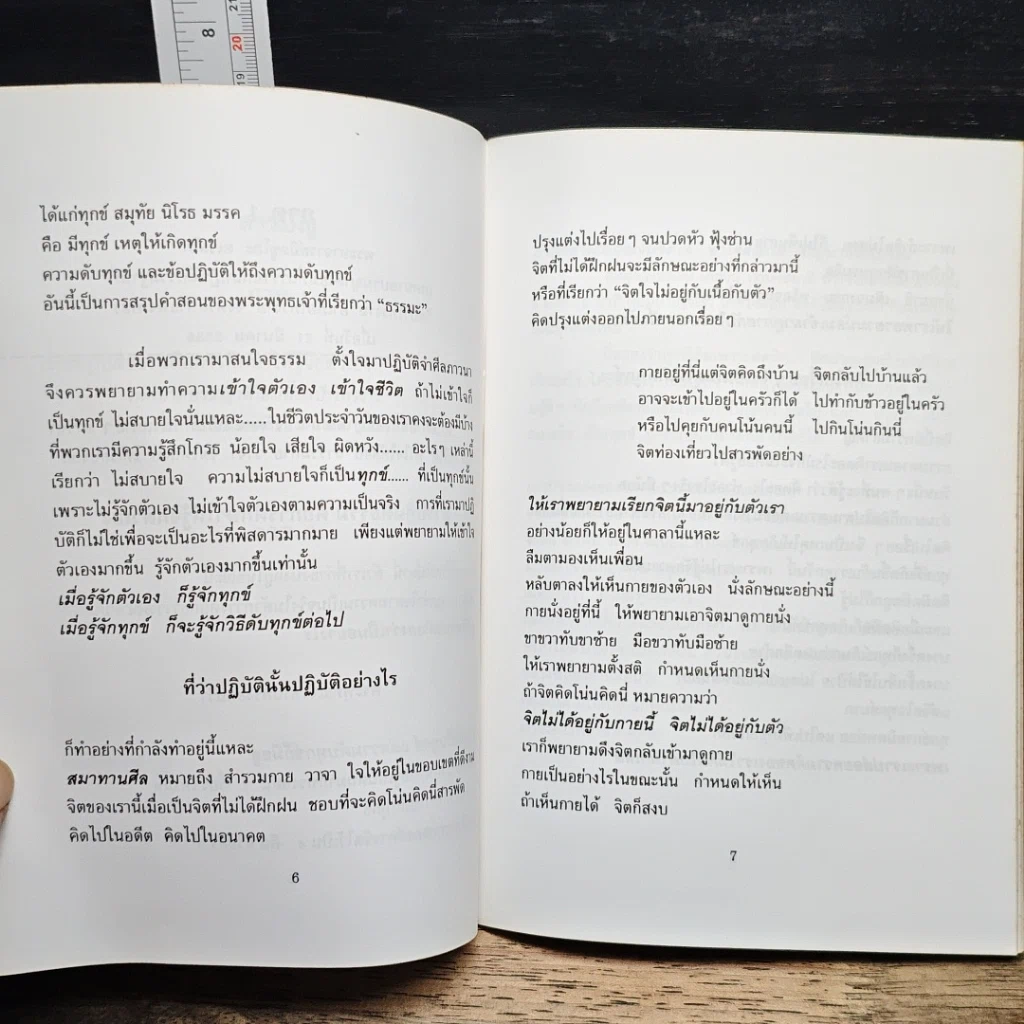 ทุกข์เพราะคิดผิด รูปที่ 8