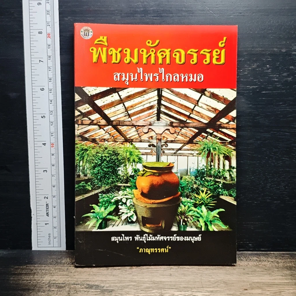 พืชมหัศจรรย์สมุนไพรไกลหมอ รูปที่ 1