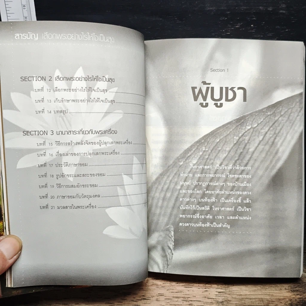 หนังสือ เลือกพระอย่างไรให้ใจเป็นสุข รูปที่ 10