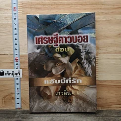 หนังสือ เศรษฐีคาวบอย ตอน แอ๊บบี้ที่รัก