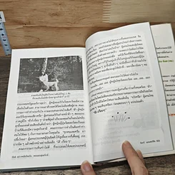 หนังสือ แม่วาดเมียบียอร์น ตอน แอบดูนอร์เวย์ รูปที่ 9