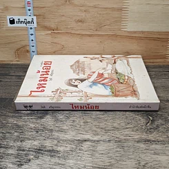 หนังสือ ไหมน้อย รูปที่ 2