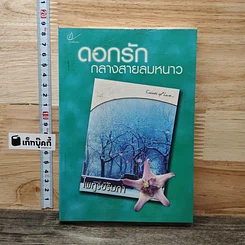 หนังสือ ดอกรักกลางสายลมหนาว
