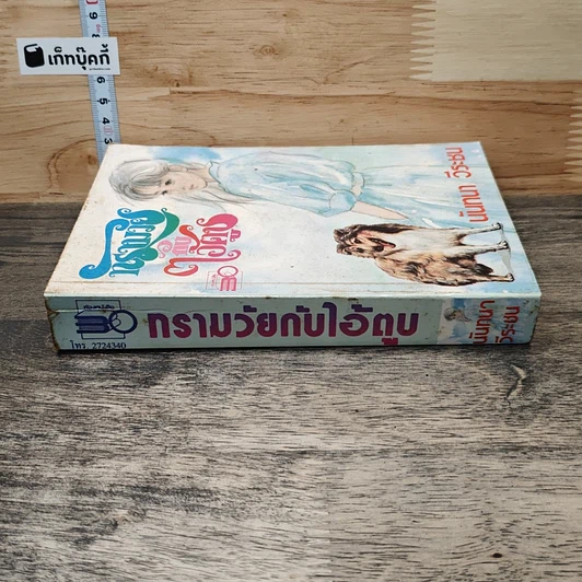 หนังสือ ทรามวัยกับไอ้ตูบ รูปที่ 2