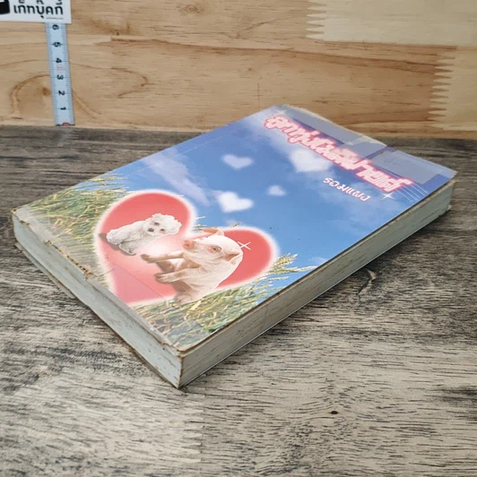 หนังสือ ลูกทุ่งโมดิฟายด์ รูปที่ 3