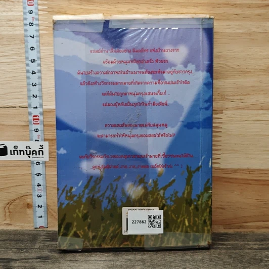 หนังสือ ลูกทุ่งโมดิฟายด์ รูปที่ 5