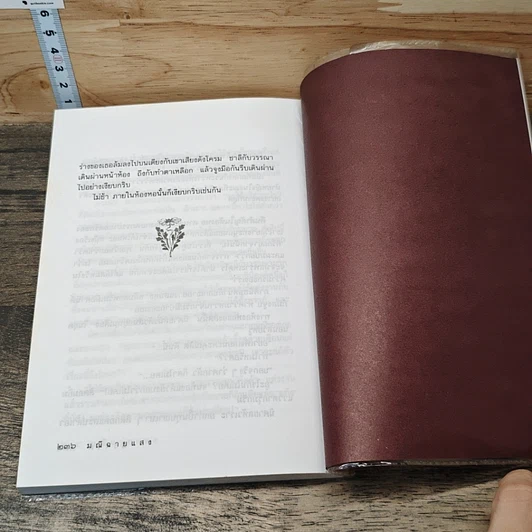 หนังสือ มณีฉายแสง รูปที่ 8