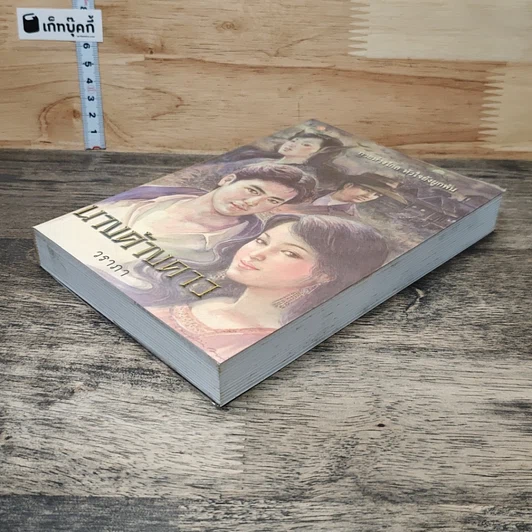 หนังสือ นางค้างคาว รูปที่ 3