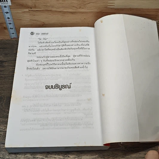 หนังสือ เพลิงนรี รูปที่ 8