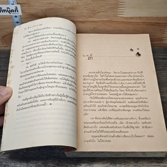 หนังสือ มีเพียงรัก รูปที่ 8