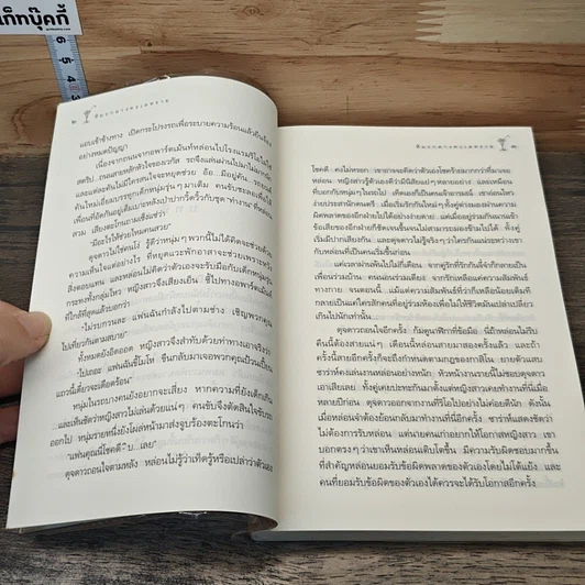 หิมะกลางทะเลทราย รูปที่ 8