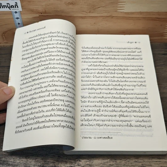 หนังสือ เจ้าภูผา รูปที่ 7