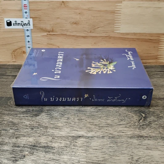 หนังสือ ในบ่วงมนตรา รูปที่ 2