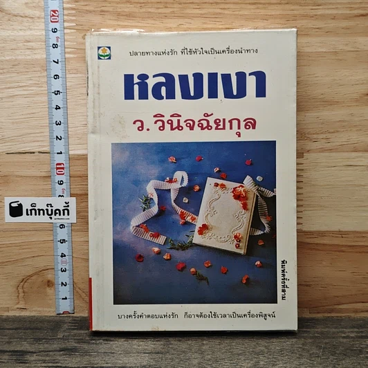 หลงเงา รูปที่ 1